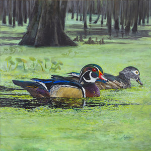 Wood Ducks in Paradise, Original 30x30"