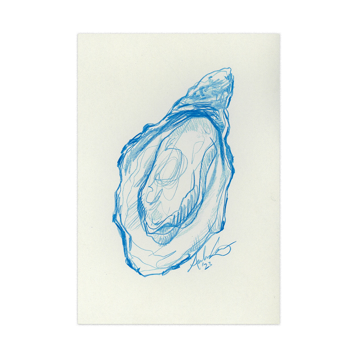 Oyster in Blue Pencil 12, Original 4x6"