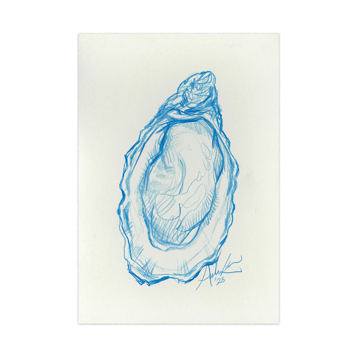 Oyster in Blue Pencil 14, Original 4x6"