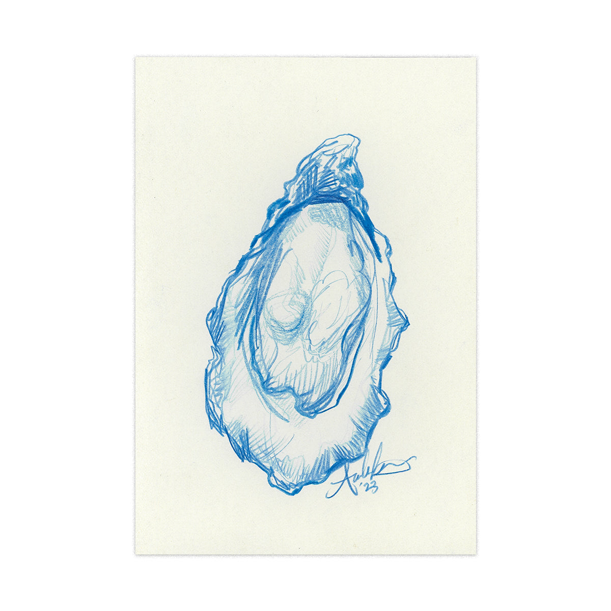 Oyster in Blue Pencil 06, Original 4x6"