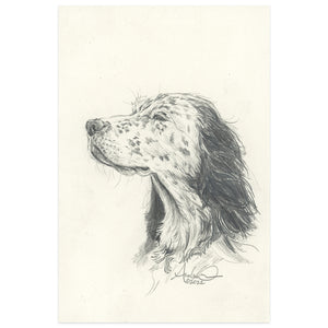 Setter Against the Wind, 4x6" Original