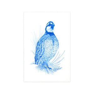 Bobwhite Calling, Original 6x9"