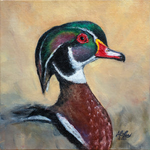 Wood Duck Portrait, 8x8" Original Oil Painting