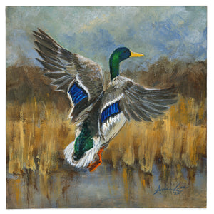 Mallard Rising, Original 8x8" Acrylic Painting