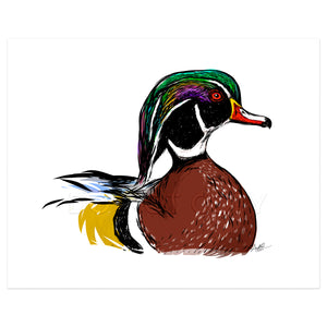 Wood Duck Drake on Water, 8x10" Print