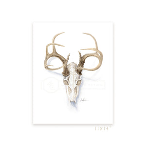 Print, Collerine Euro Mount Deer Skull