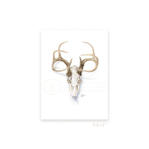 Print, Collerine Euro Mount Deer Skull