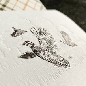 Letterpress Bobwhite Quail Stationery, Set of 5