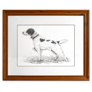 Brittany Spaniel in Pencil, Original