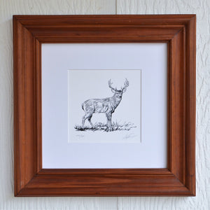 Whitetail Monster Buck Illustration