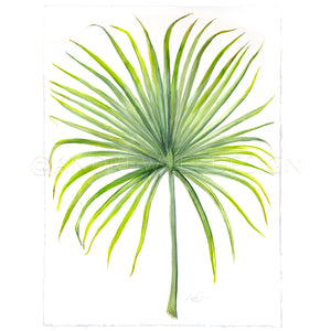 King St. Palmetto 2 of 2, 22x30"