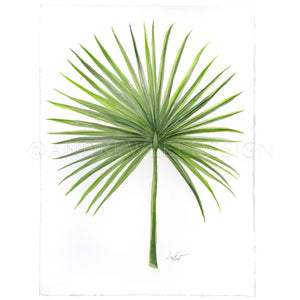 Saw Palmetto 1 of 2, 22x30"