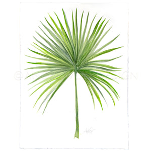 Saw Palmetto 2 of 2, 22x30"