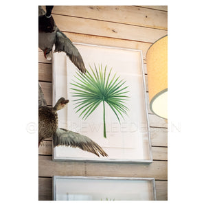 Saw Palmetto 1 of 2, 22x30"