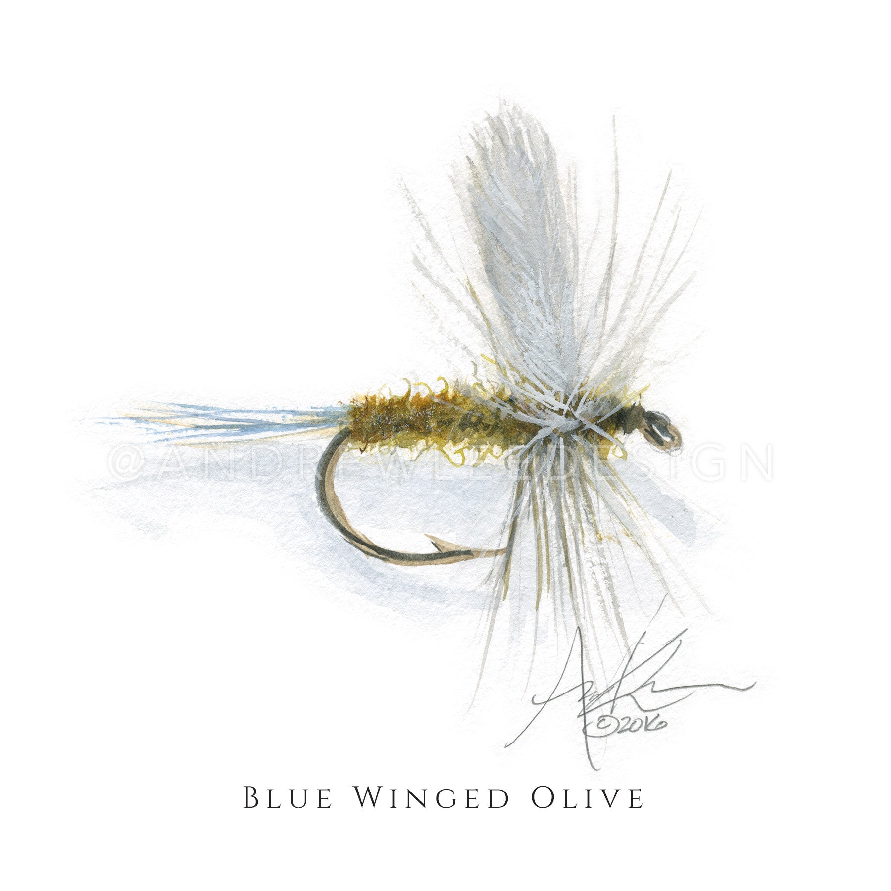 Fly - Blue Winged Olive Pattern