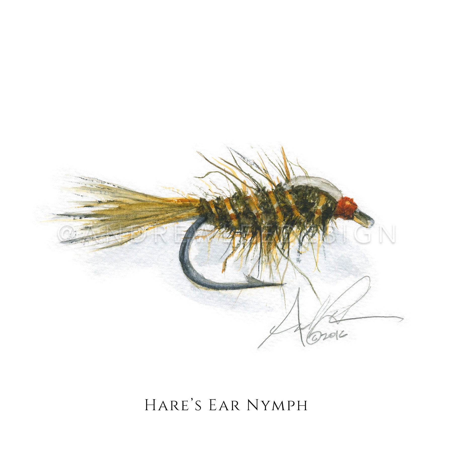 Fly - Hare's Ear Nymph Pattern