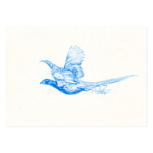 Pheasant Flight in Blue, 4x6"