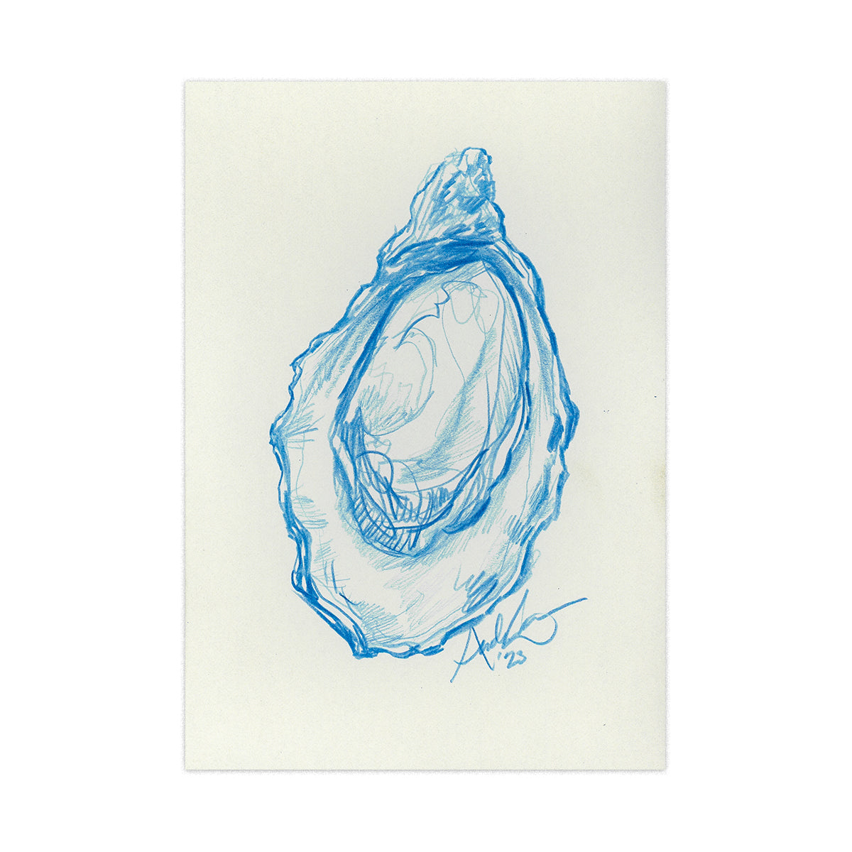 Oyster in Blue Pencil 11, Original 4x6"