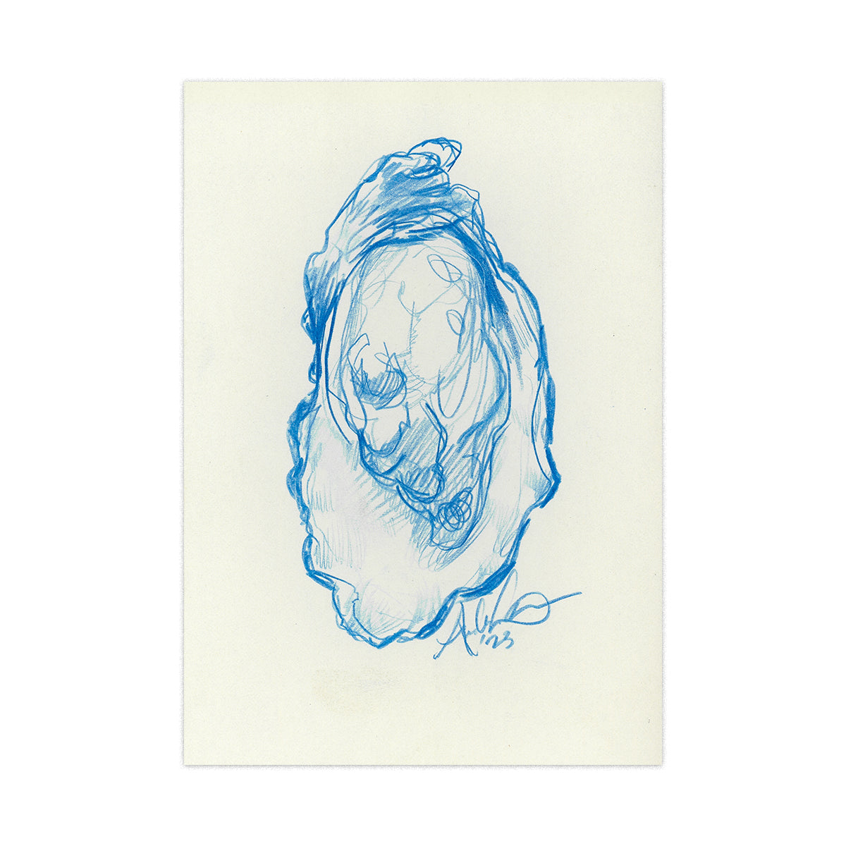 Oyster in Blue Pencil 03, Original 4x6"