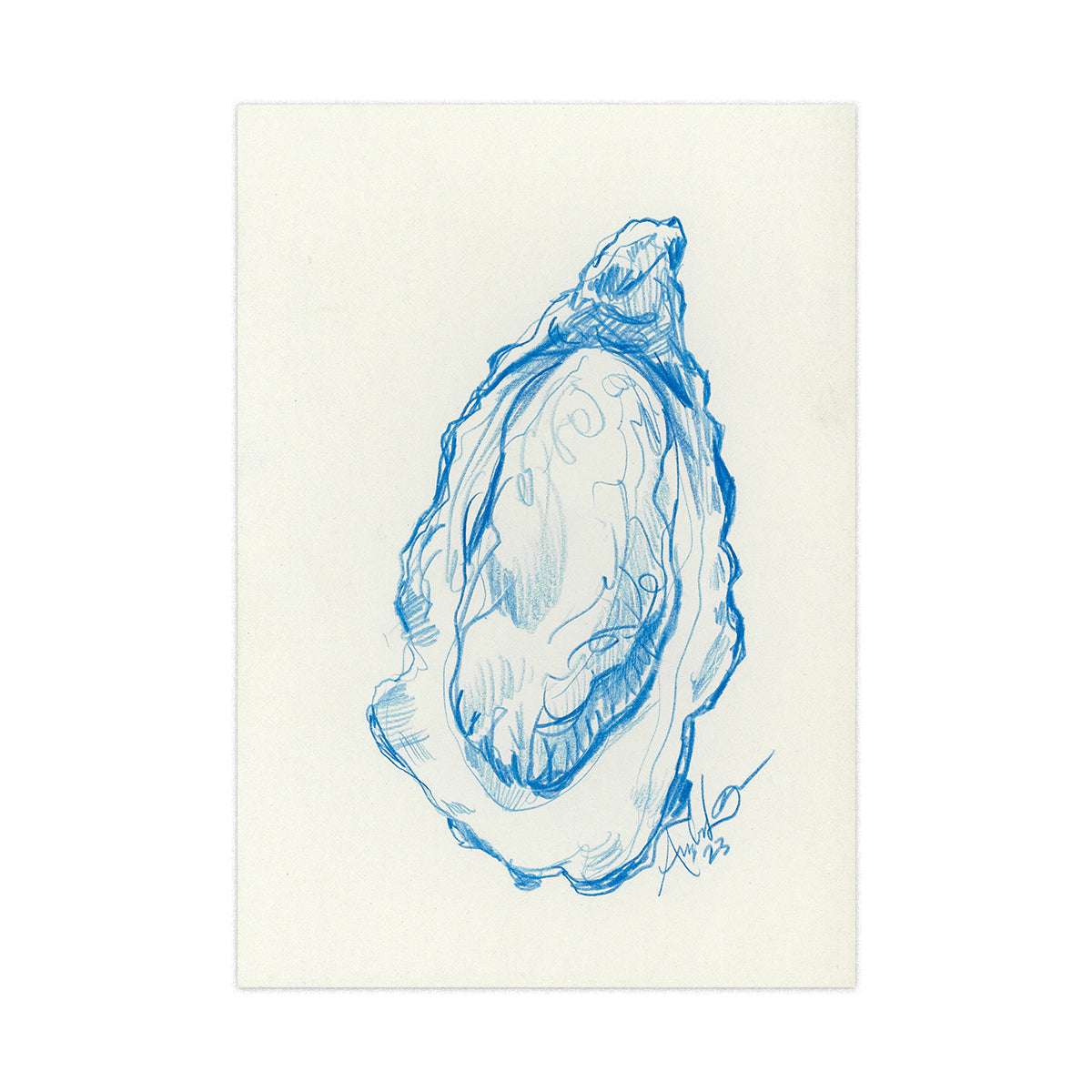 Oyster in Blue Pencil 04, Original 4x6"