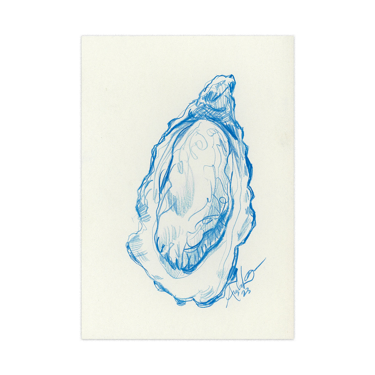 Oyster in Blue Pencil 04, Original 4x6"