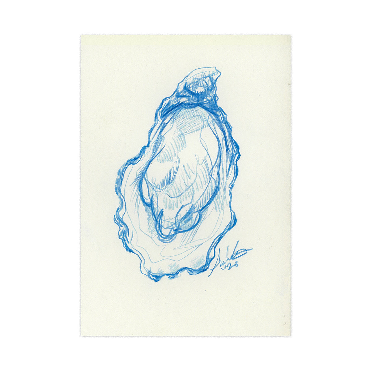 Oyster in Blue Pencil 07, Original 4x6"