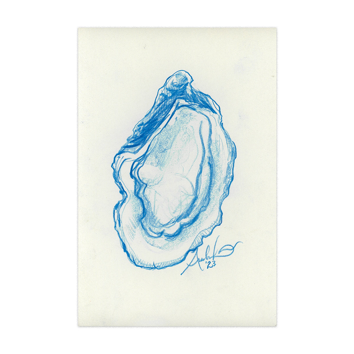 Oyster in Blue Pencil 08, Original 4x6"
