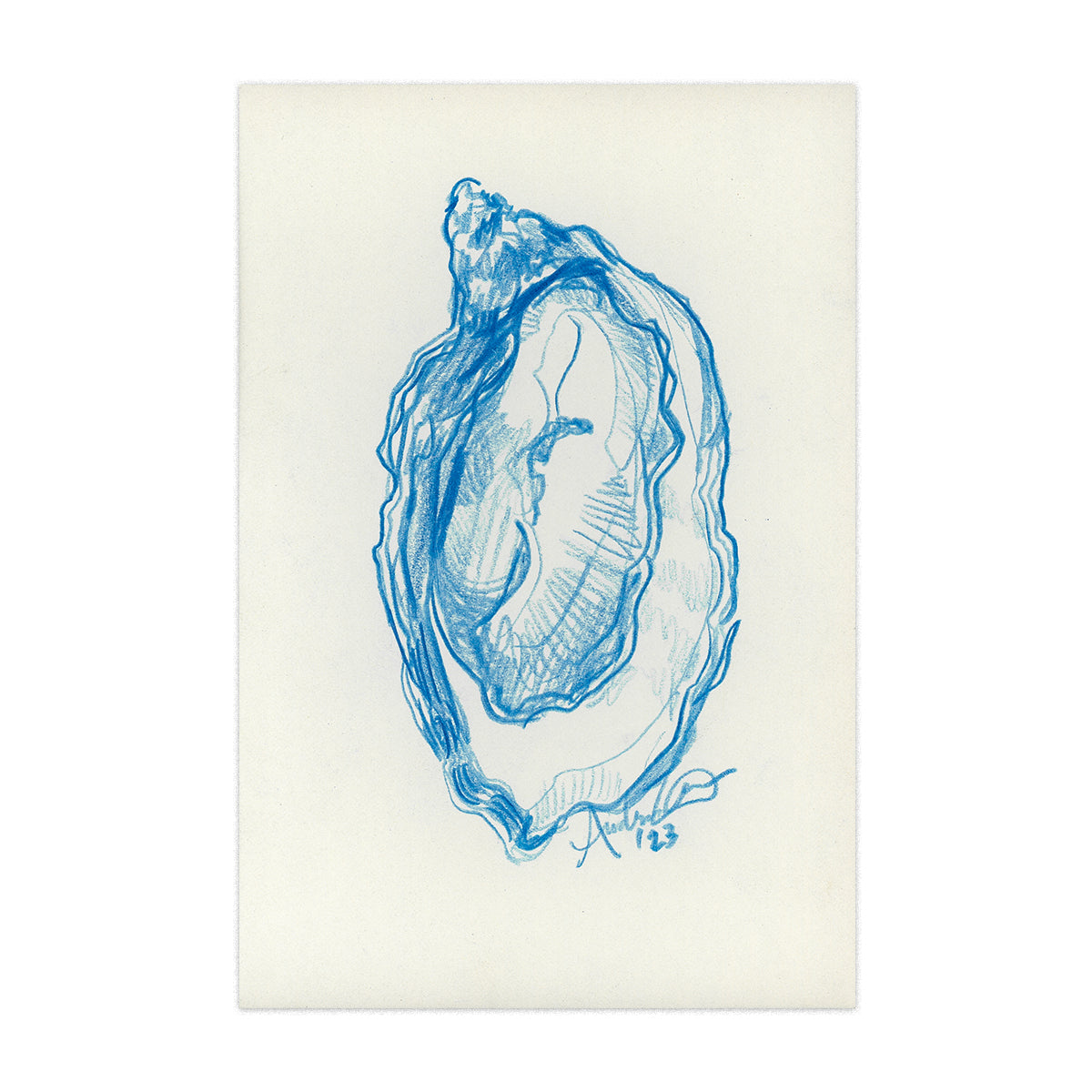 Oyster in Blue Pencil 09, Original 4x6"