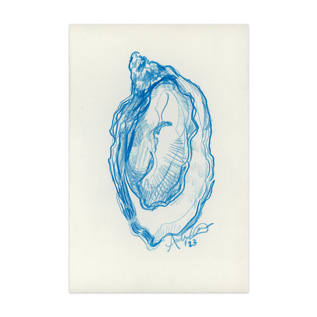 Oyster in Blue Pencil 09, Original 4x6"