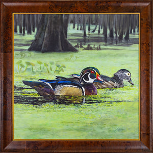 Wood Ducks in Paradise, Original 30x30"