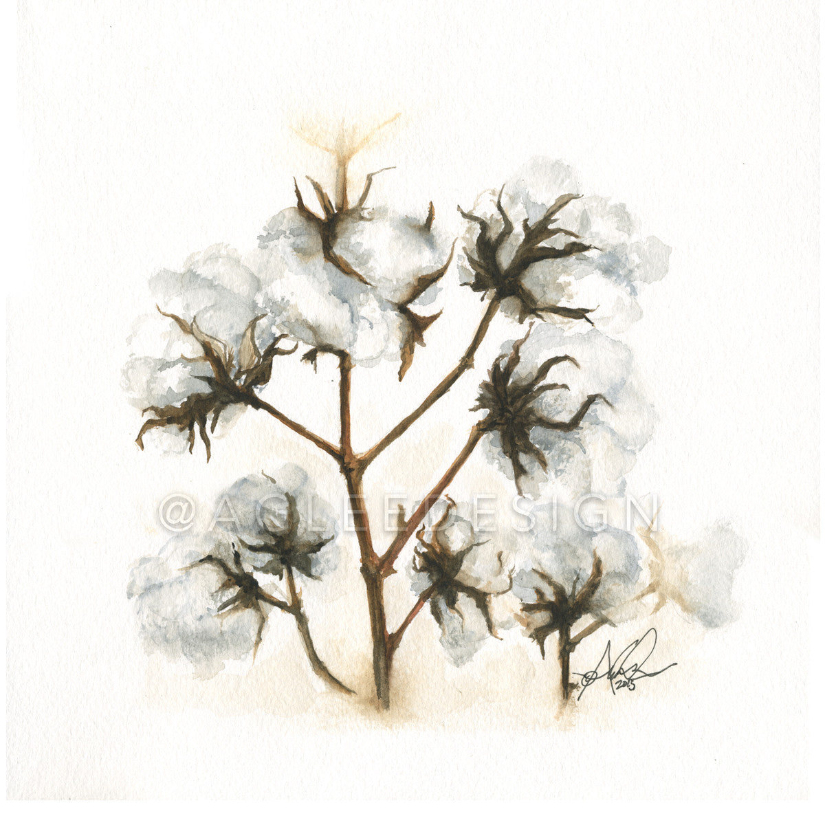 Old Auburn Rotation Cotton, 12x12" Print