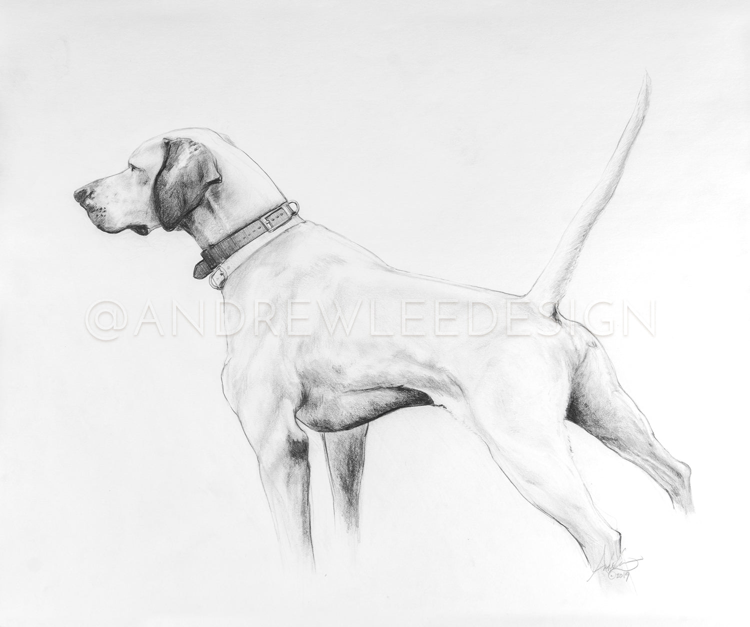 The Golden Hour Hunt (English Pointer Study), 14x16.5"