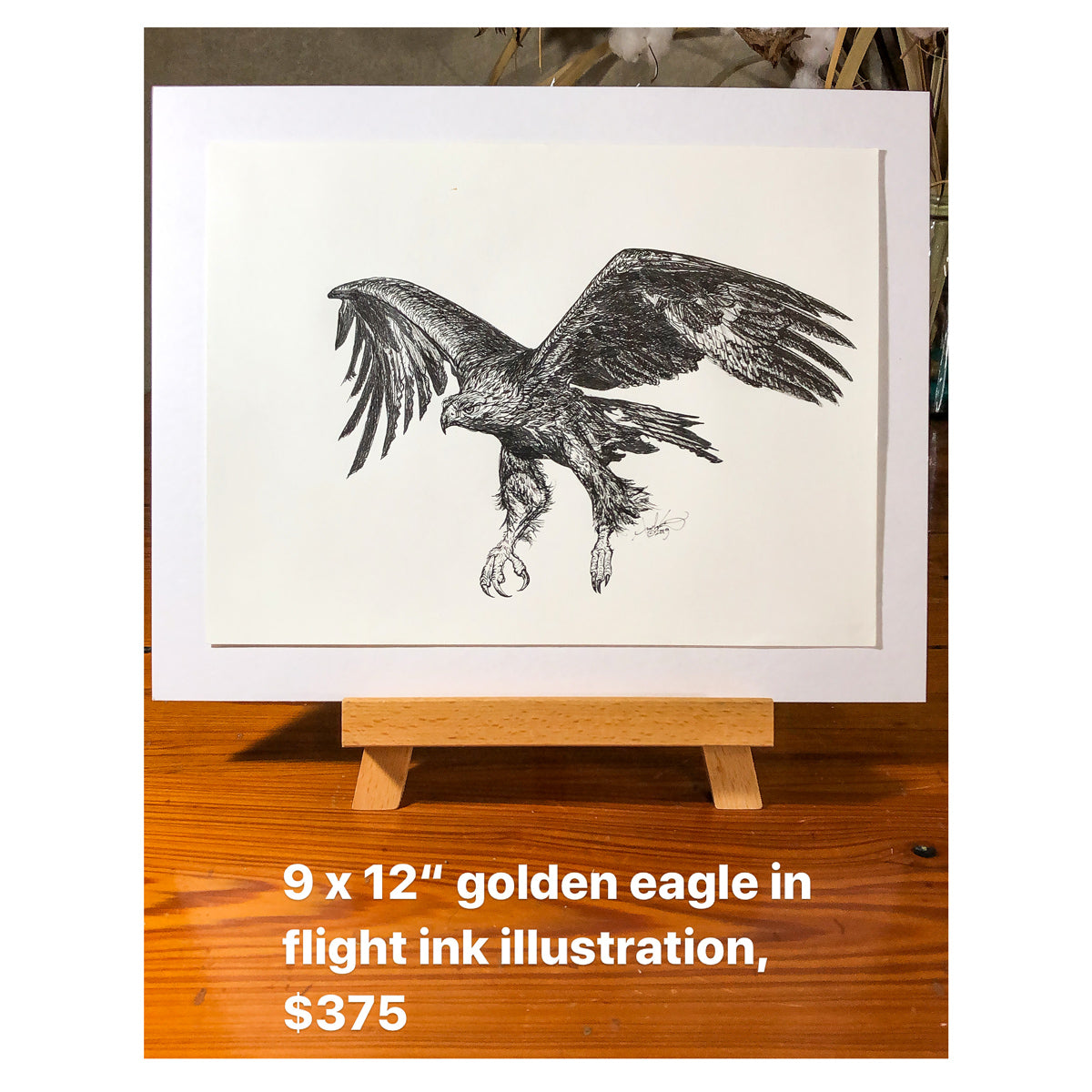 Golden Eagle in Flight, 9x12"
