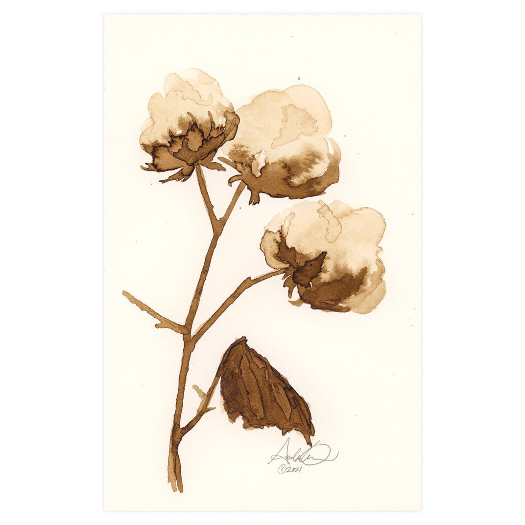 Cotton in Ink 01, Original 5.5 x 8.5"