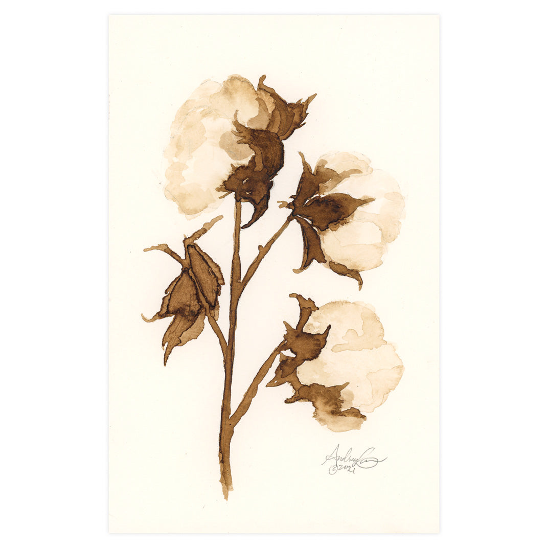 Cotton in Ink 02, Original 5.5 x 8.5"