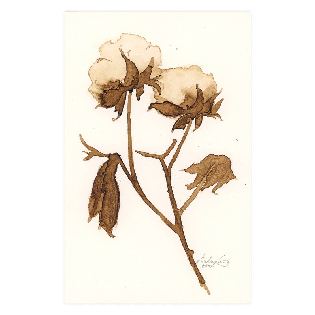 Cotton in Ink 03, Original 5.5 x 8.5"