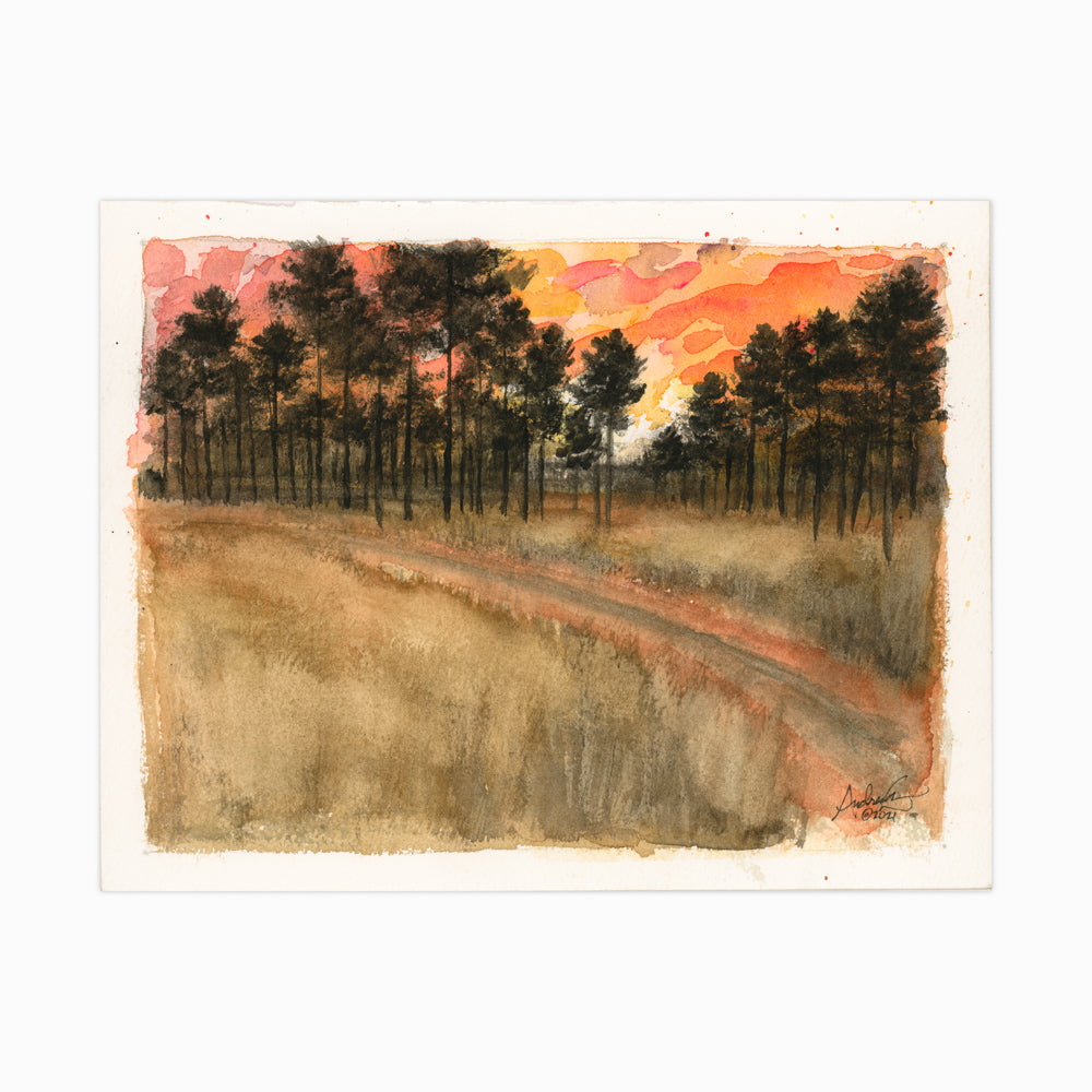 Longleaf Pine Dirt Road Sunset, 6x8" Watercolor
