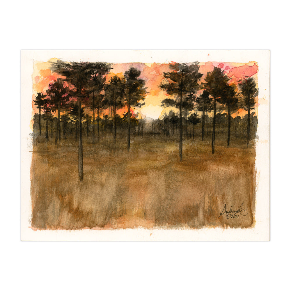 Longleaf Pine Sunset, 6x8" Watercolor