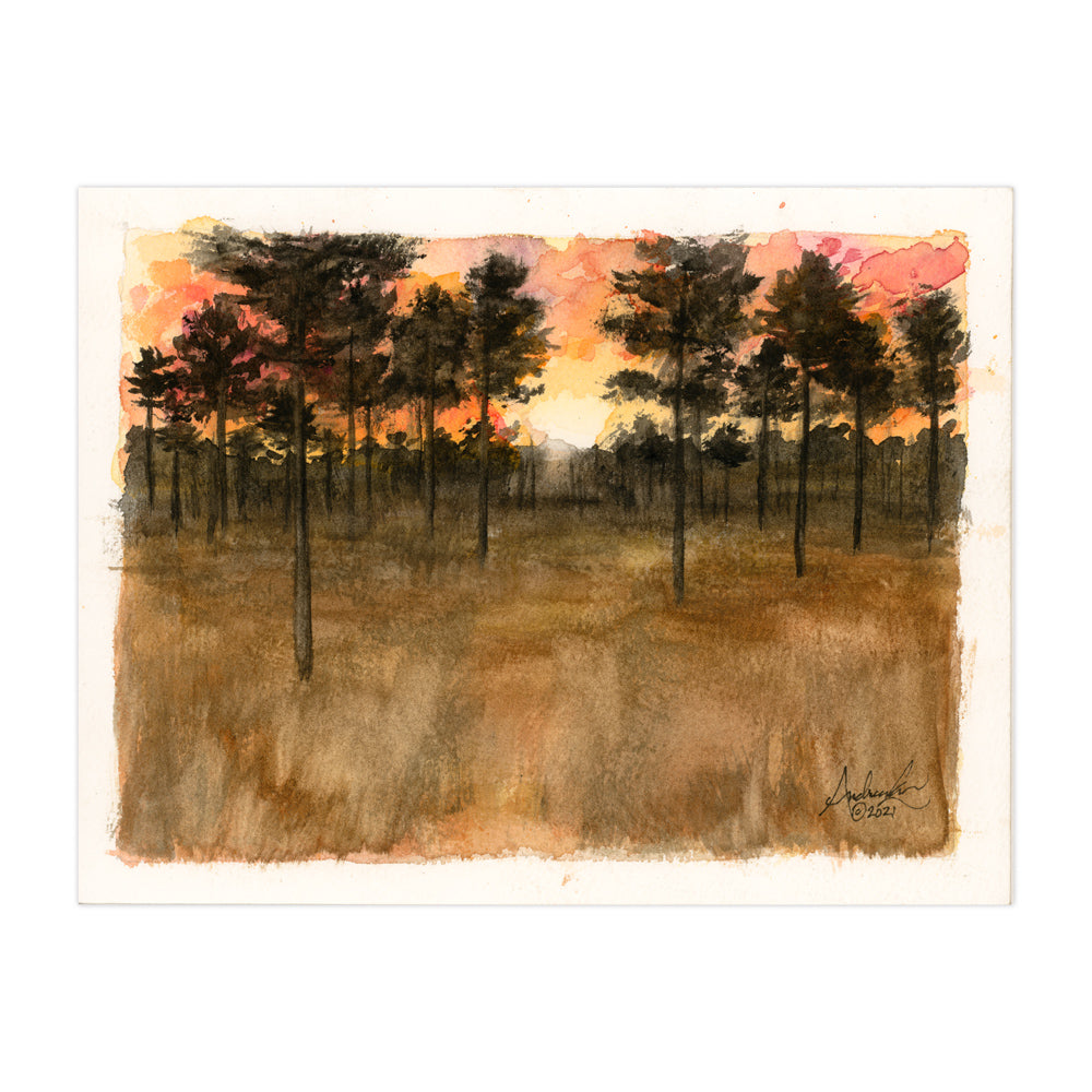 Longleaf Pine Sunset, 6x8" Watercolor