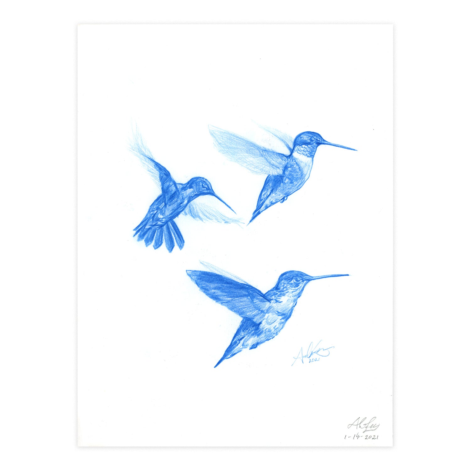 Three Little Hummingbirds, Original 8x11"