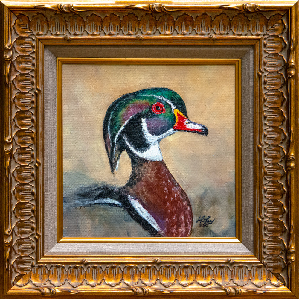 Wood Duck Portrait, 8x8" Original Oil Painting