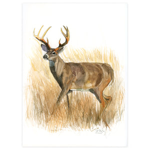Whitetail Buck Walks Tall, (by J.H.Lee) 9x12" Print