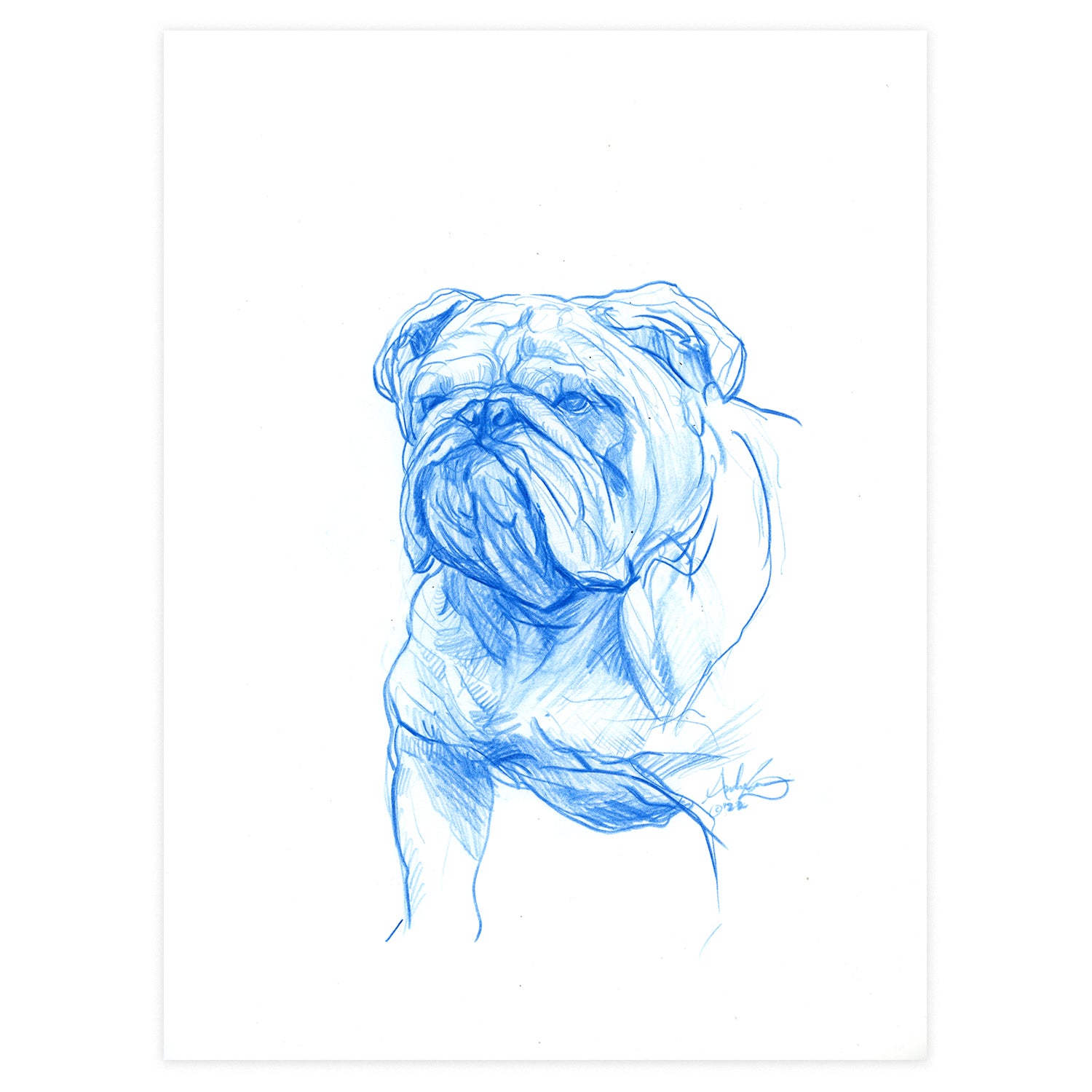 Stiff Upper Lip: Bulldog in Blue, Original 9x12"