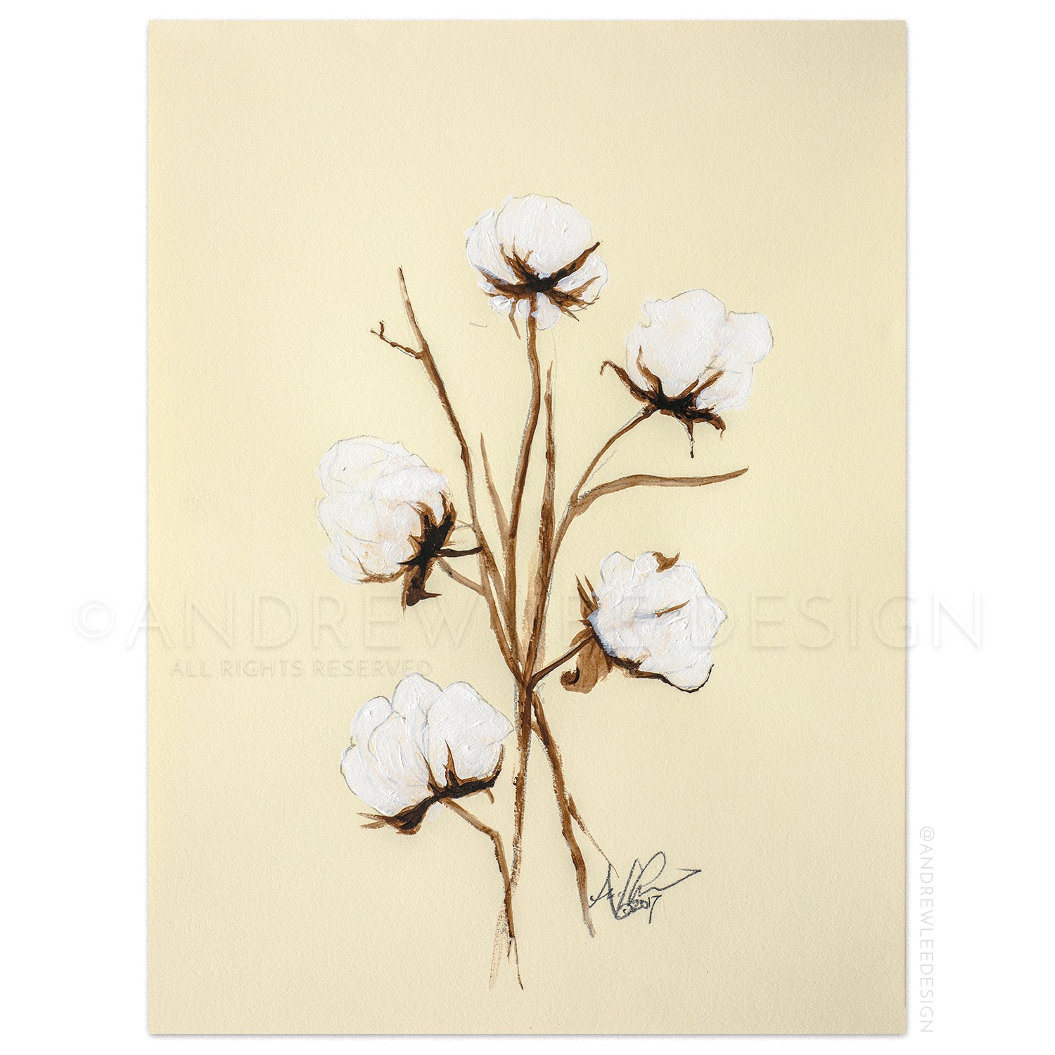 Cotton 1 of 4, 9x12" Print