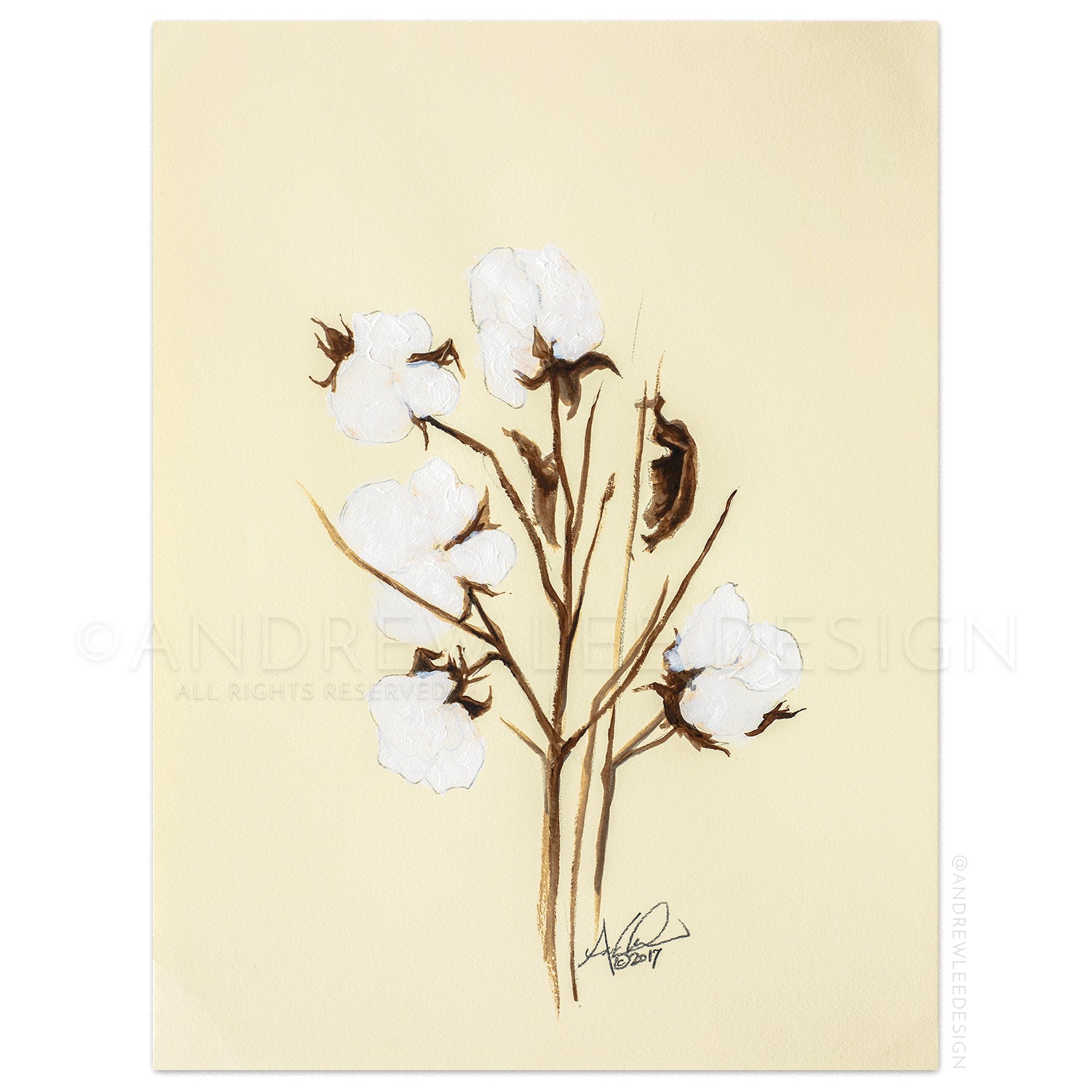 Cotton 2 of 4, 9x12" Print