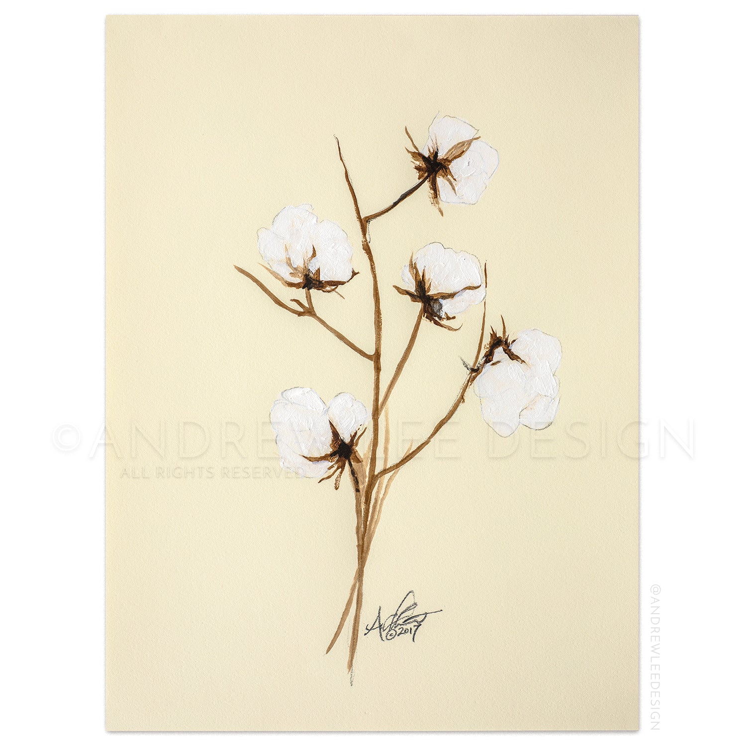 Cotton 3 of 4, 9x12" Print