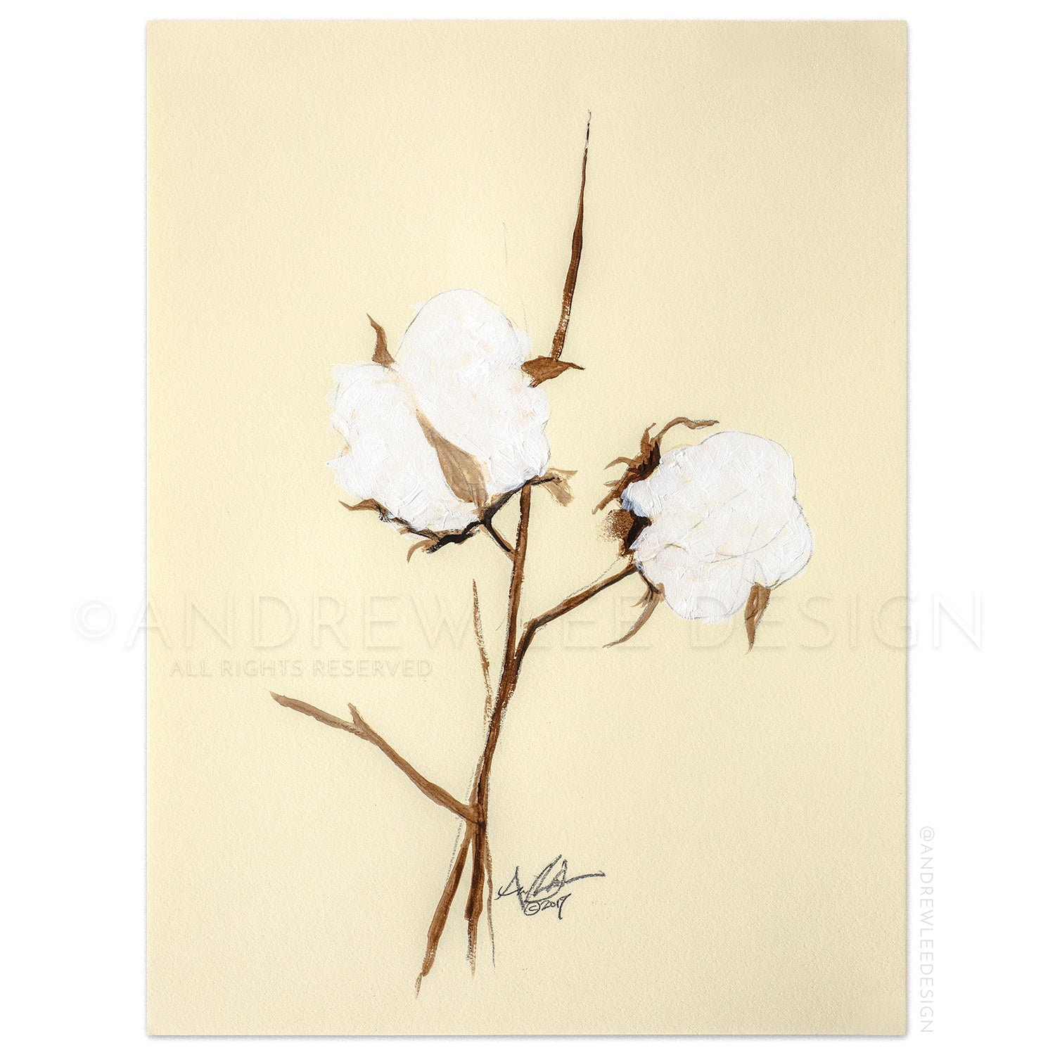 Cotton 4 of 4, 9x12" Print