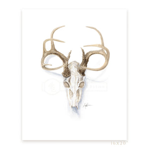 Print, Collerine Euro Mount Deer Skull