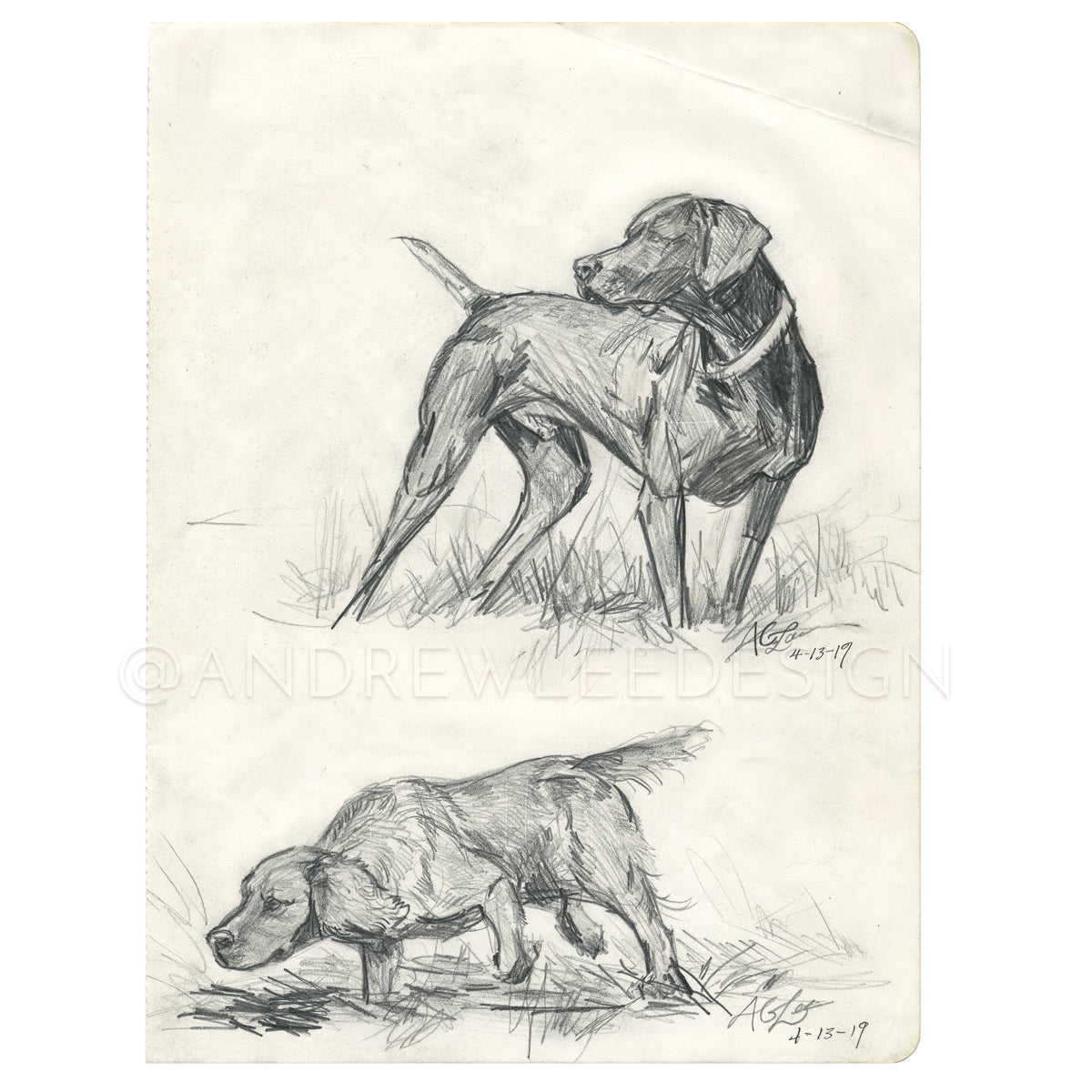 Point and Flush, Bird Dogs Study 7.25 x 10"