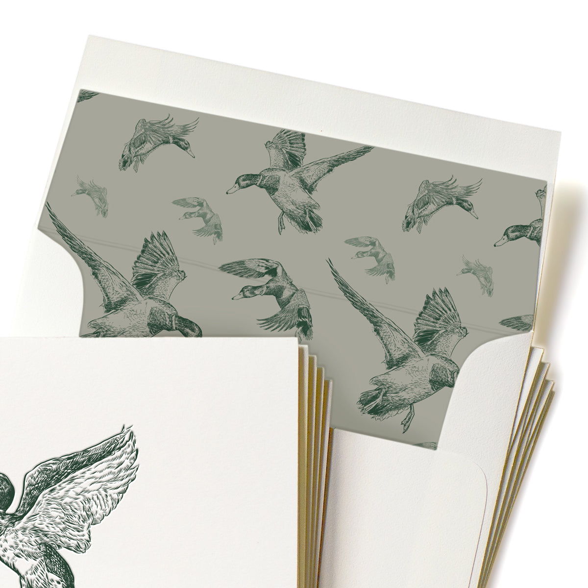 Letterpress Mallard Drake Stationery, Set of 5